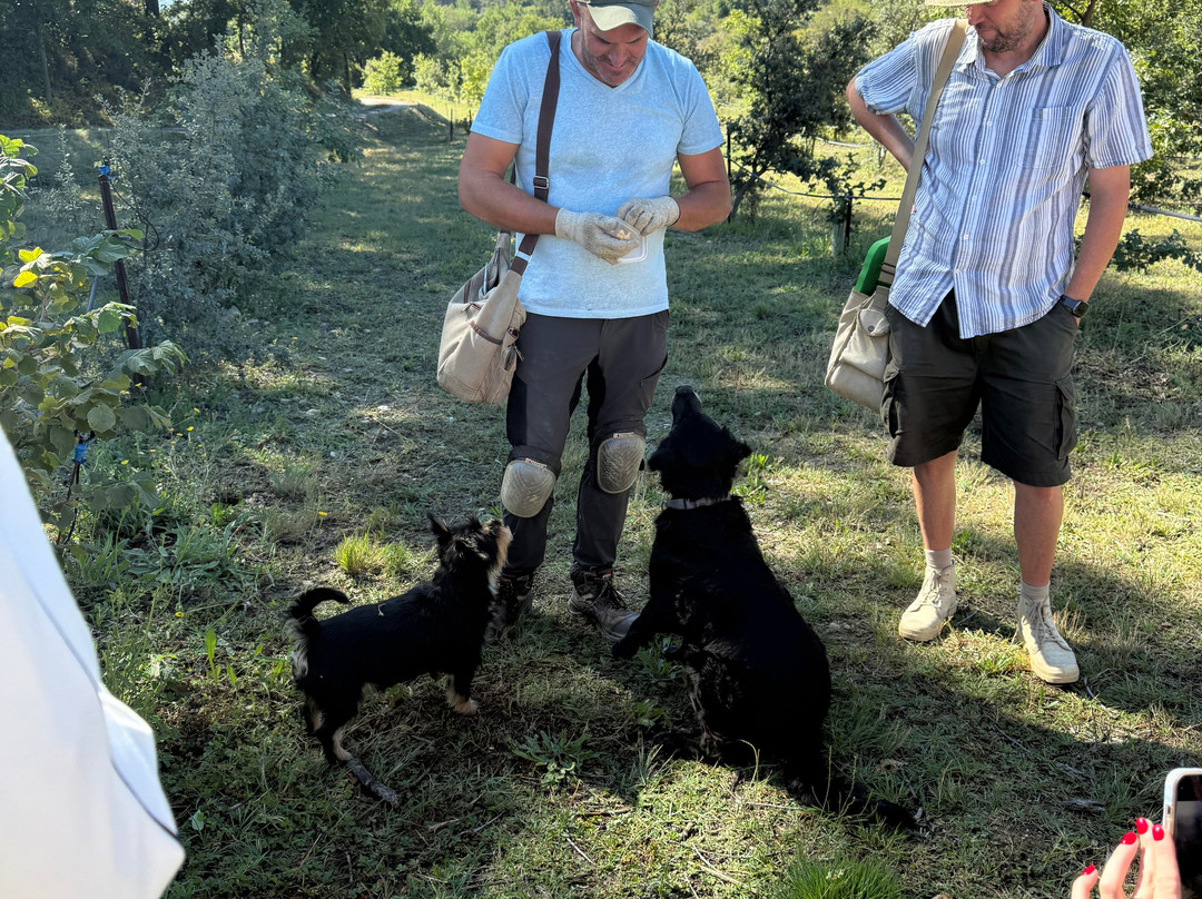 Truffle Hunting at Les Pastras-Cadenet必去景点