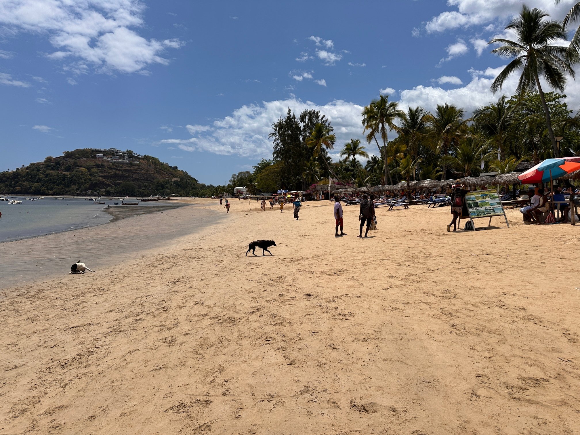 皇家海滩酒店-泳池
