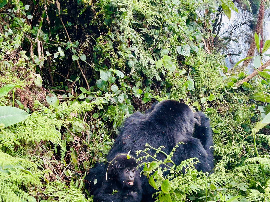 Lava Bike Tours-Ruhengeri必去景点