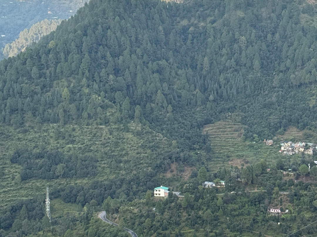 Seclude Ramgarh Willows主图