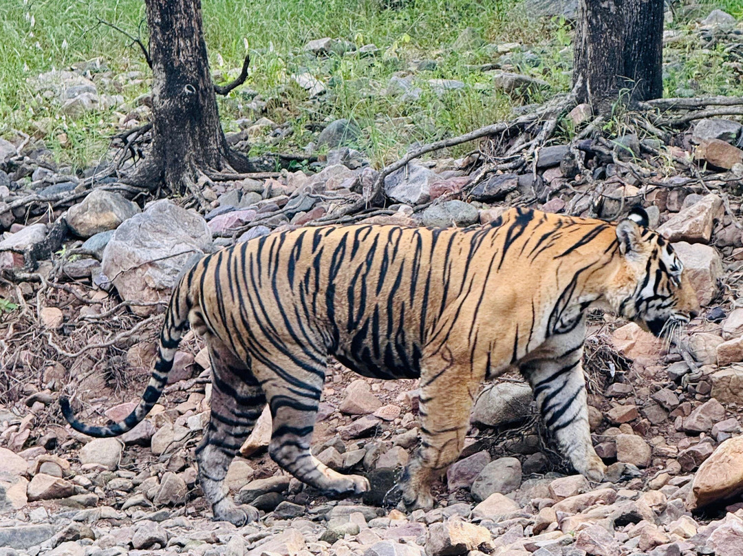 Nature Wanderers-Ramnagar必去景点