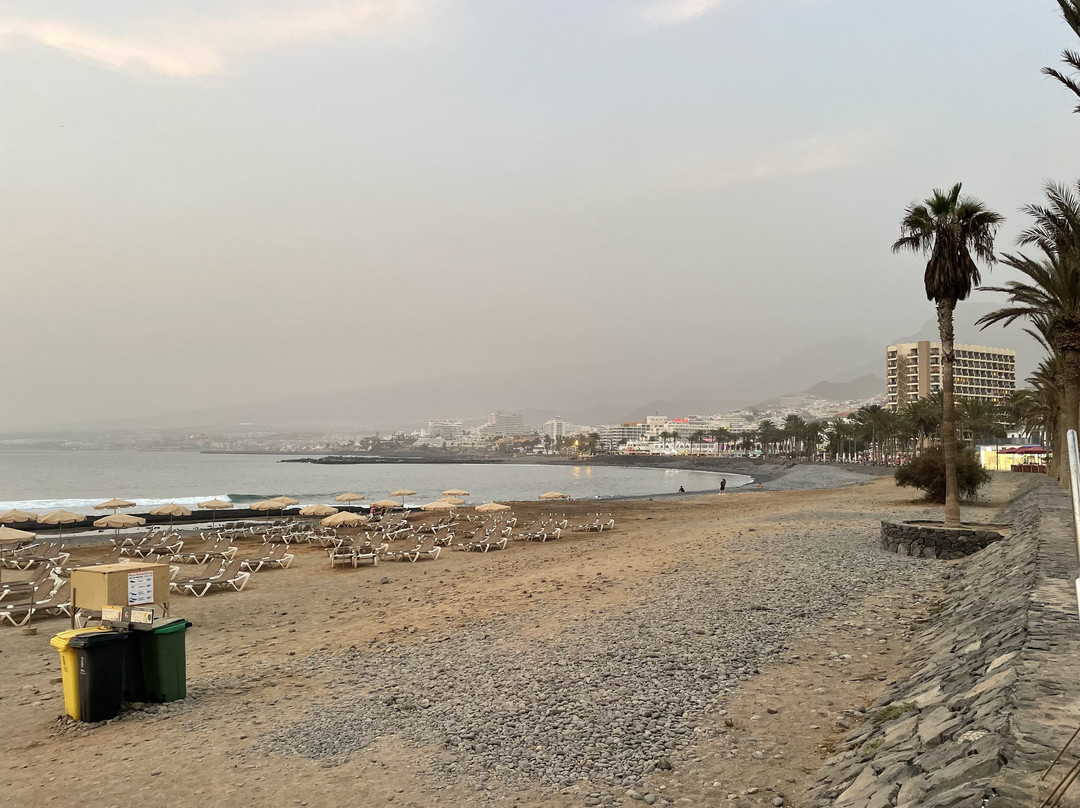 Playa De Las Americas-美洲海滩必去景点
