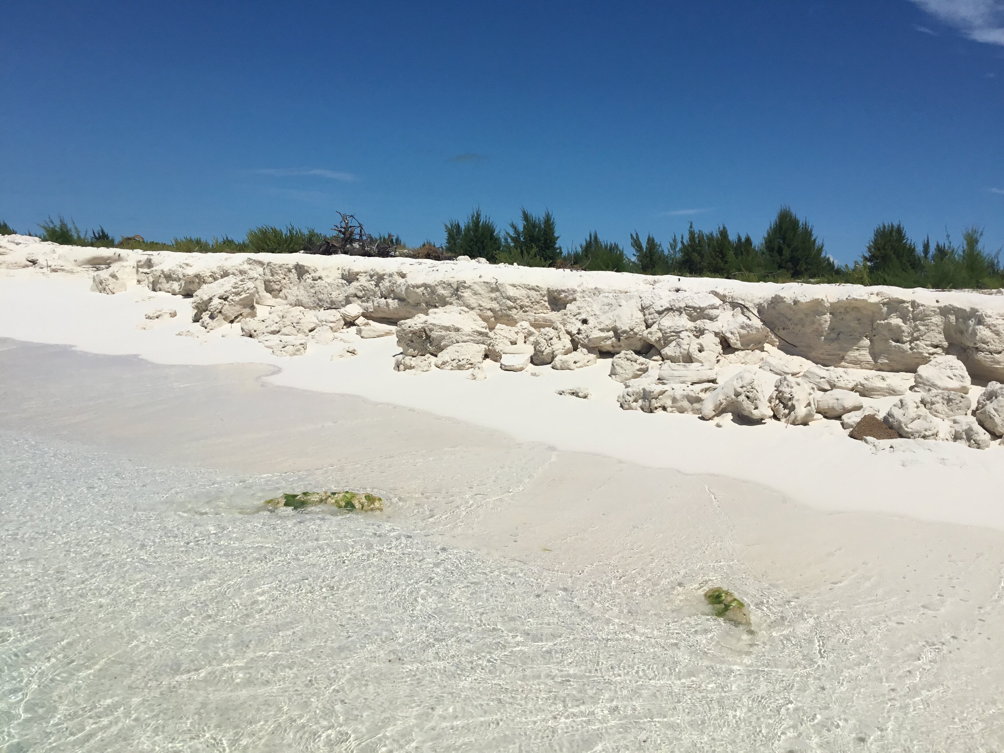 Memories Cayo Largo-泳池