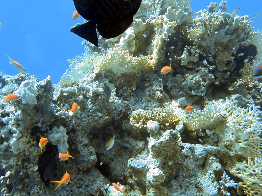 Aquarius Diving Club-马卡迪湾必去景点