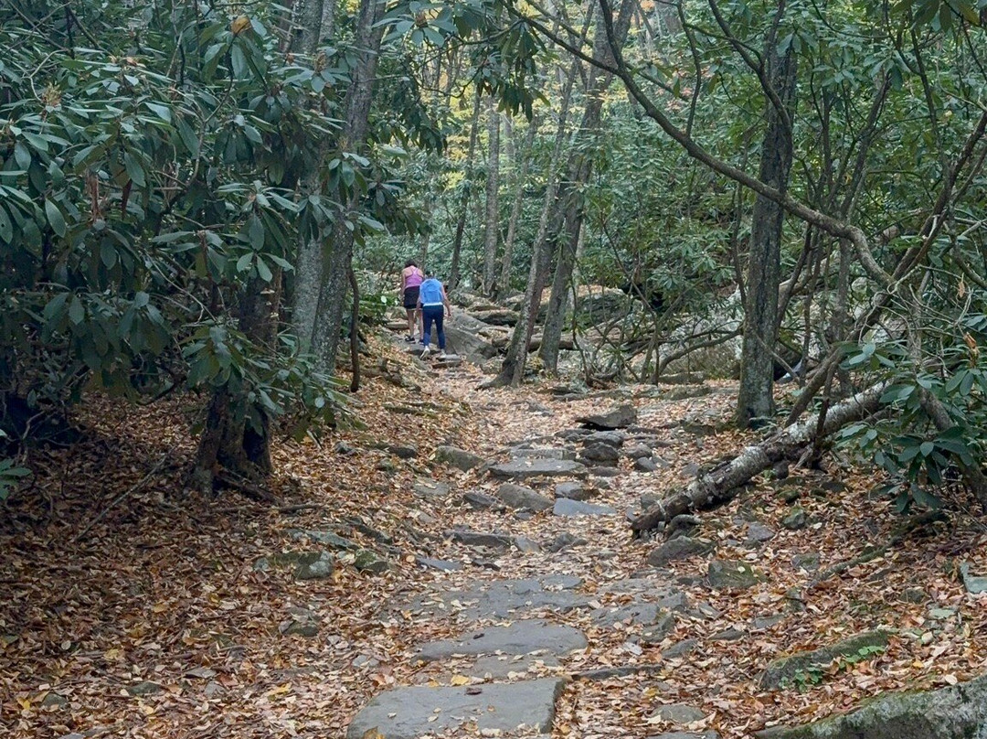 Cascades National Recreation Trail-Pembroke必去景点