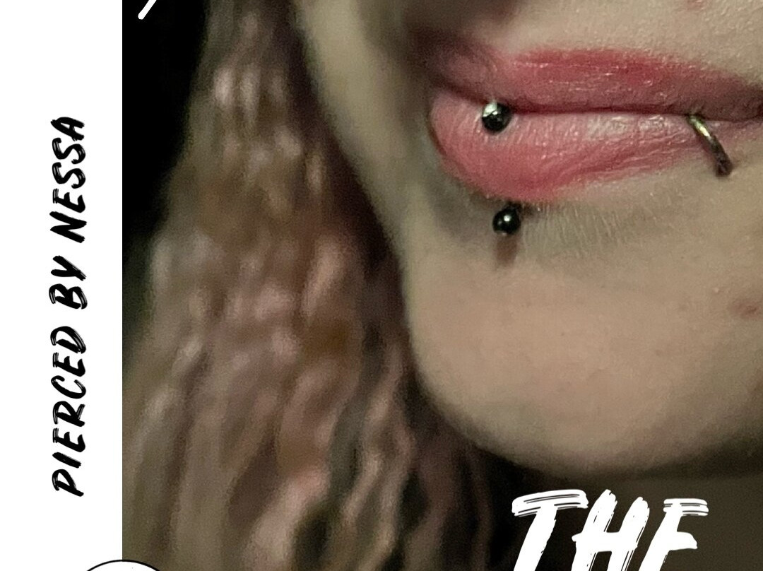 The Inked Orchid Tattoo-North Sydney必去景点