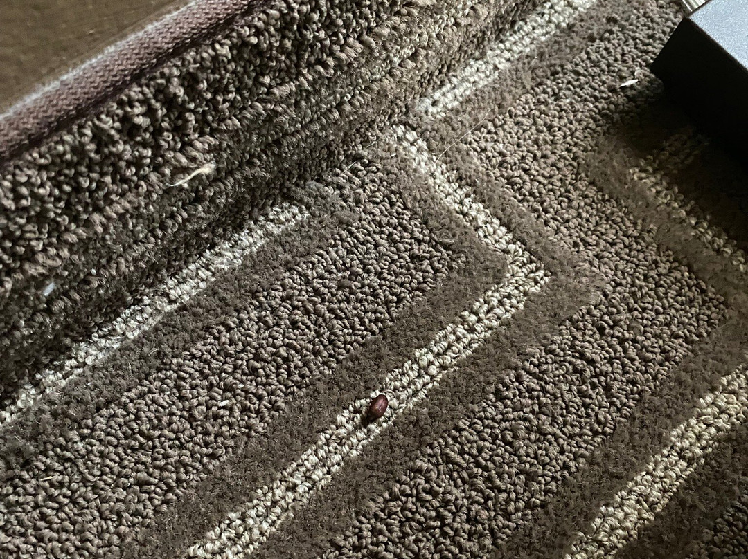 Mountaineer Casino Resort主图