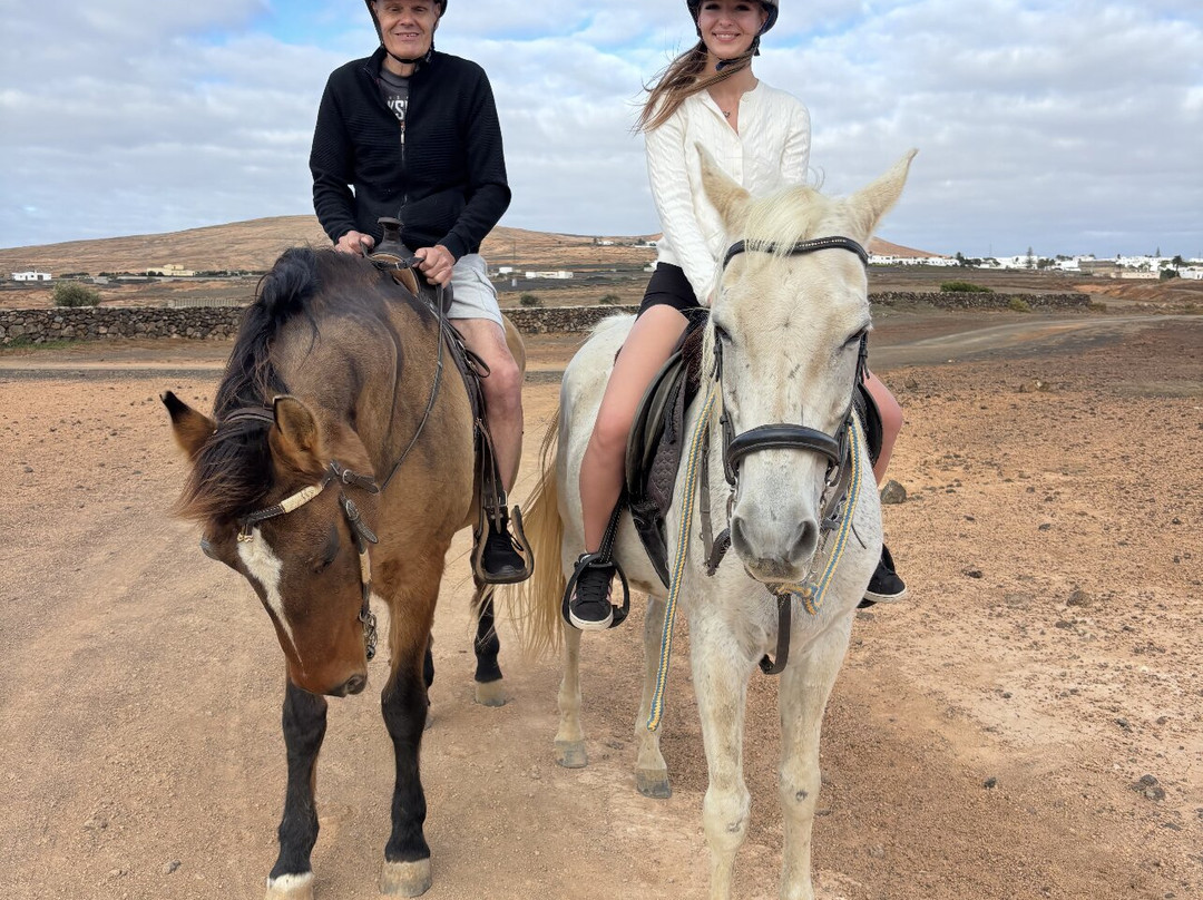 Horses Lanzarote-Teseguite必去景点