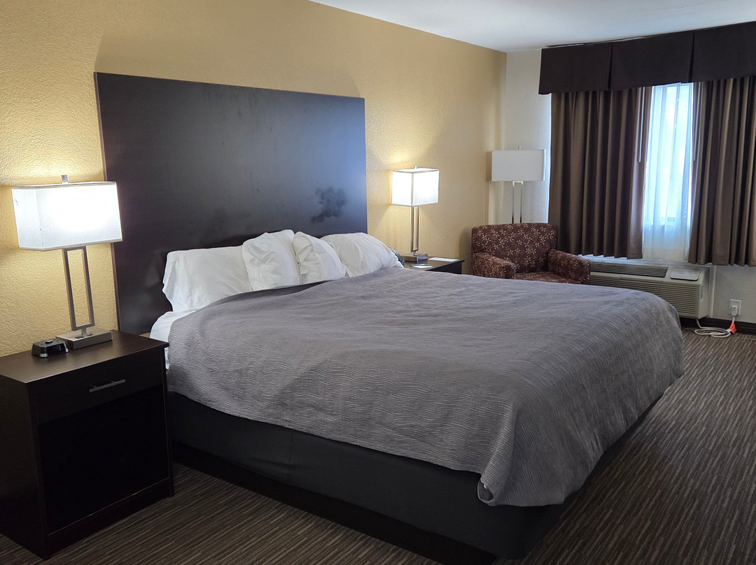 Quality Inn & Suites Metropolis I-24主图