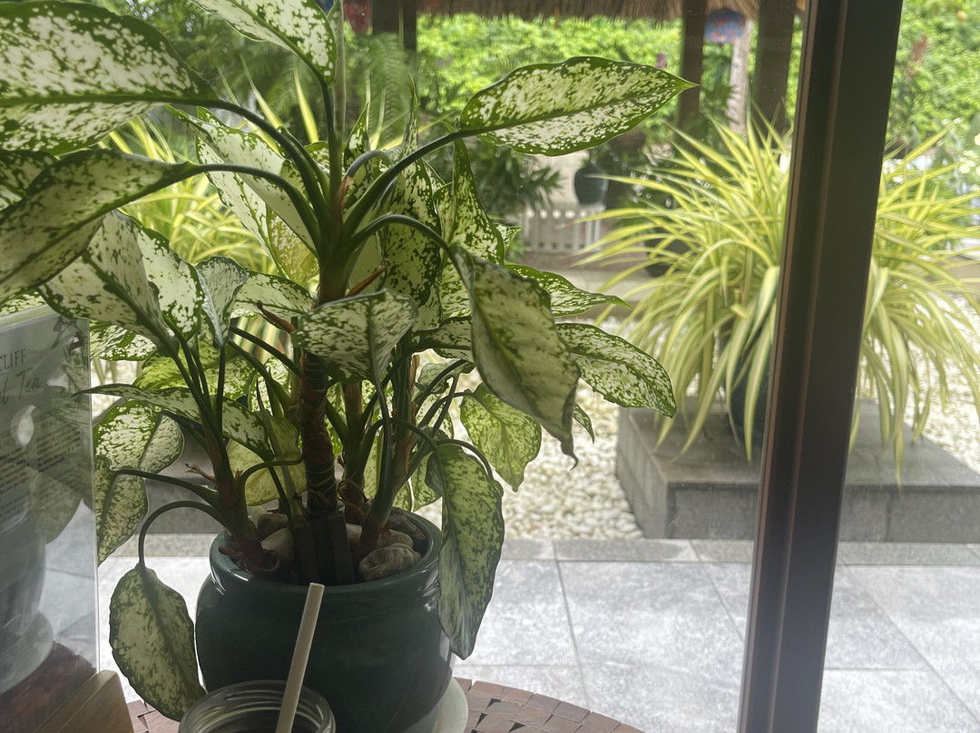 Zest Spa-藩切市必去景点