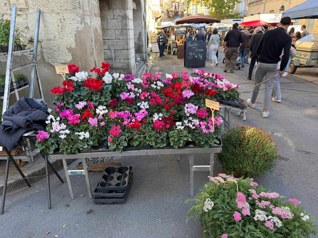 Marche de Sainte Foy-la-Grande-大圣富瓦必去景点