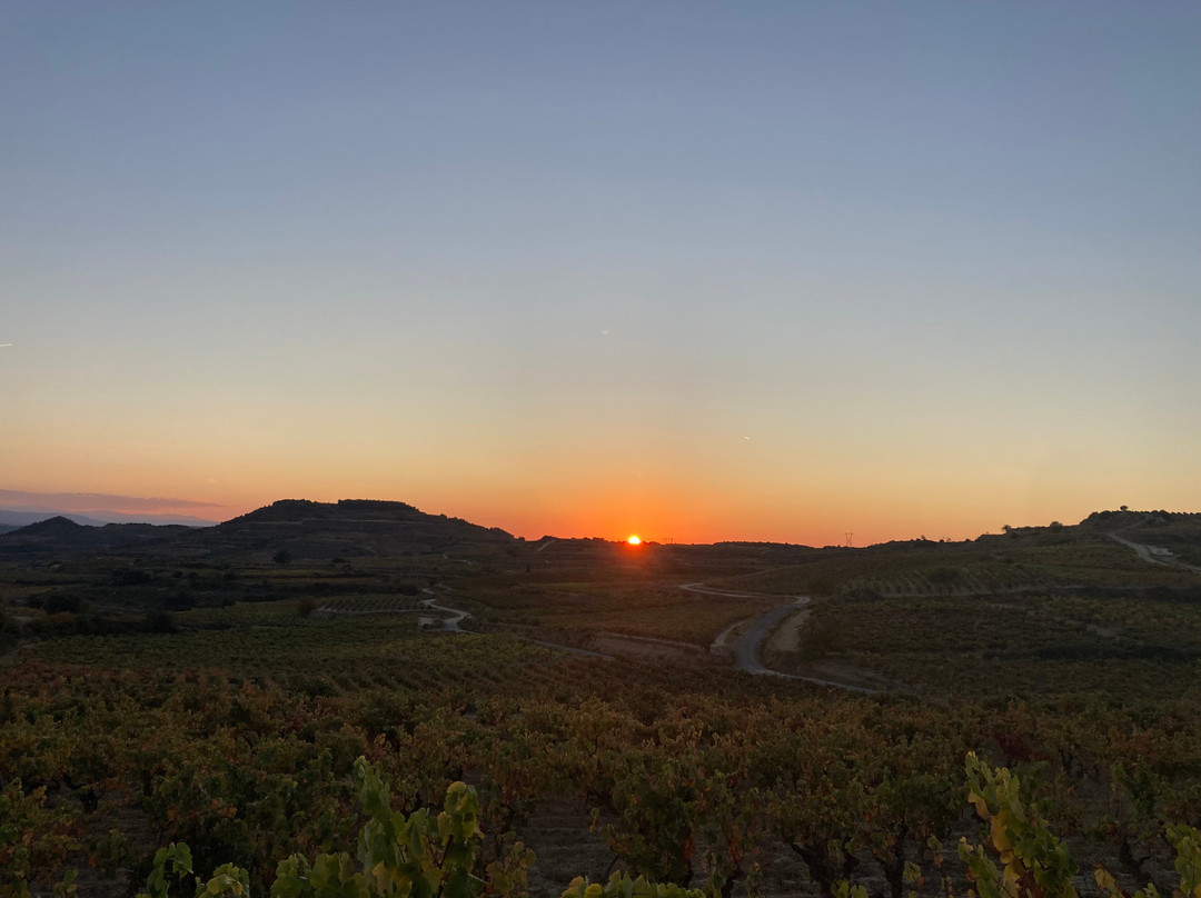 Bodegas Luis Canas-比利亚布纳德阿拉瓦必去景点