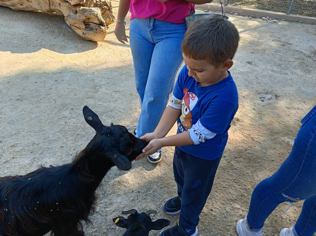 La Fattoria Dei Salari-Floridia必去景点