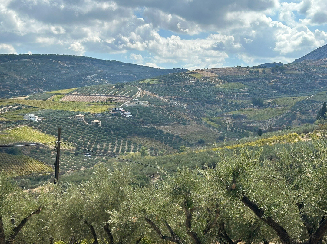 Kriti Allios | Κρήτη Αλλιώς-伊拉克利翁必去景点