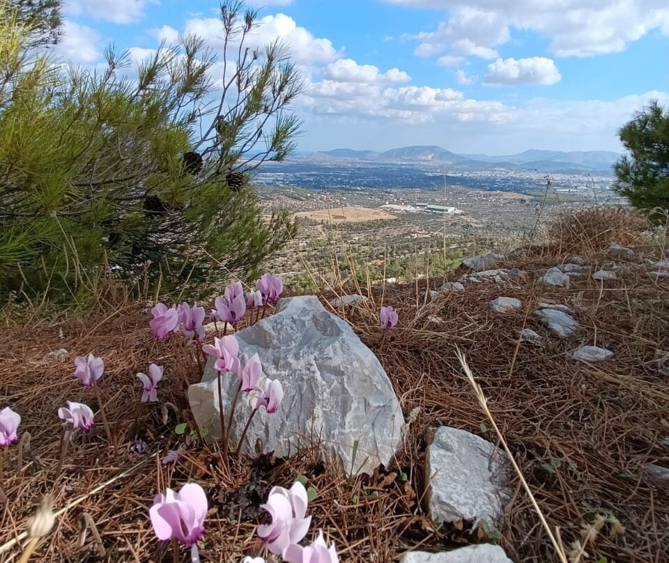 Koutouki Cave-派阿尼亚必去景点