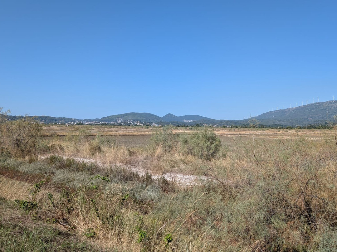 Ulcinj Salina-Ulcinj Municipality必去景点