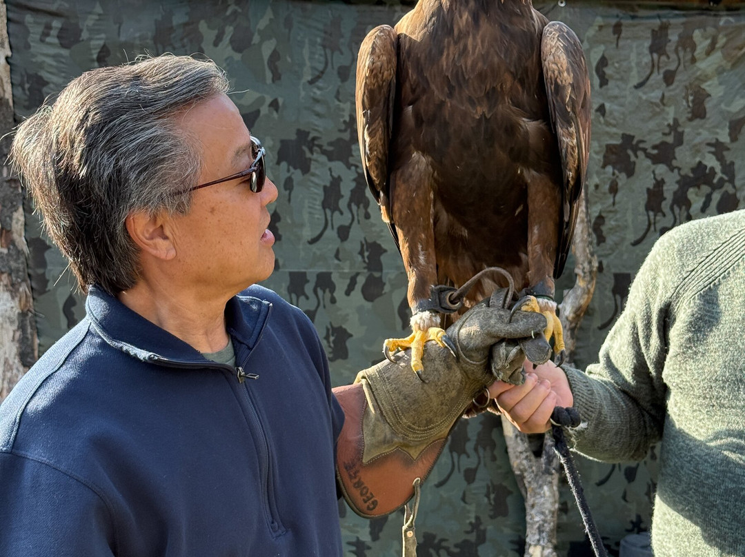 York Bird of Prey Centre-伊辛瓦必去景点