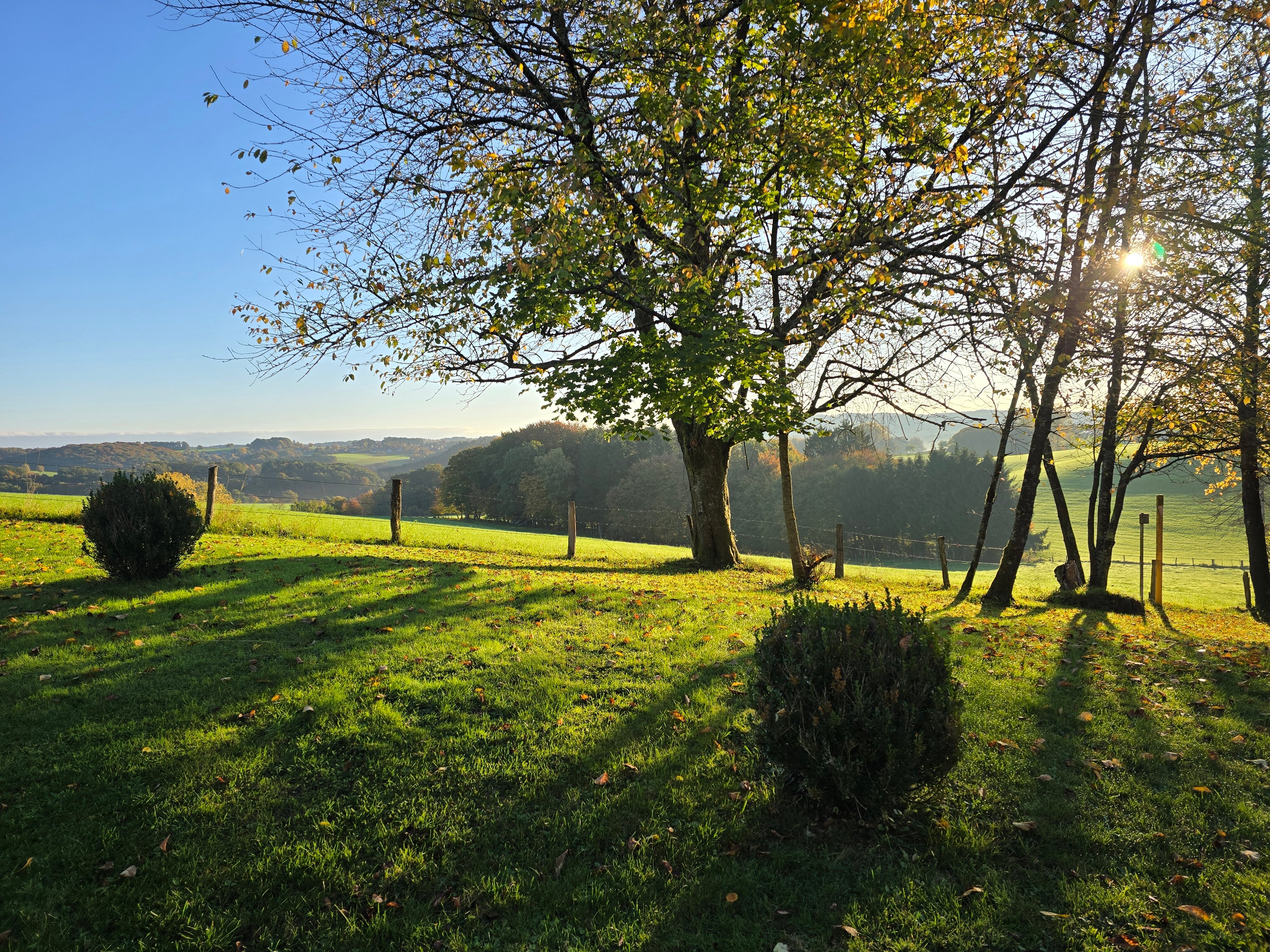 Trans World Hotel Kranichhoehe-官方