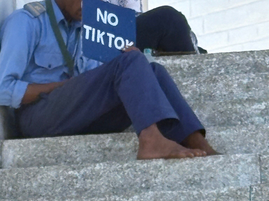 World Peace Pagoda-蓝毗尼必去景点