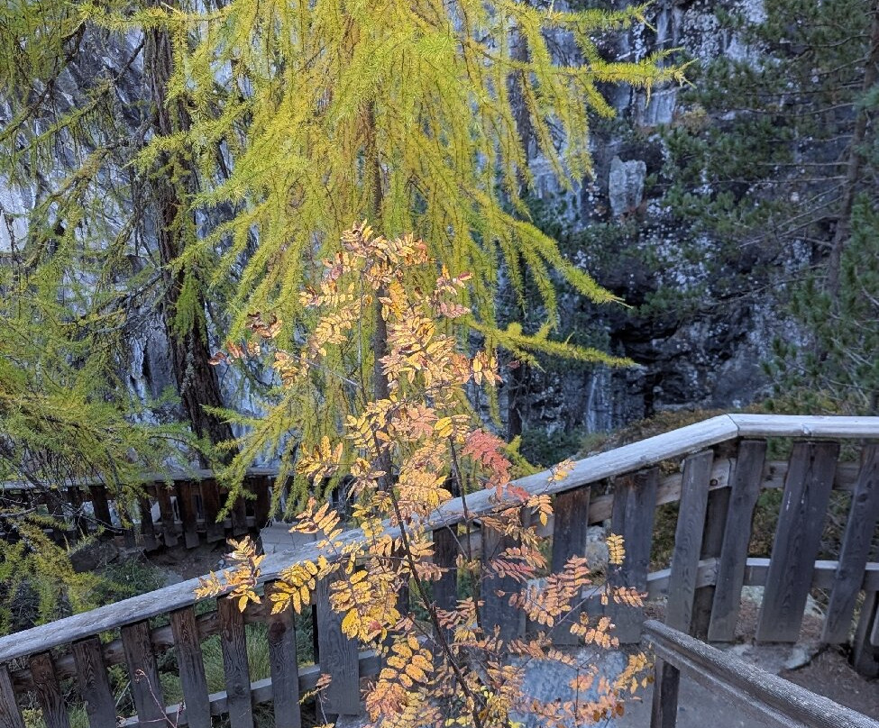 Gorner Gorge-策马特必去景点