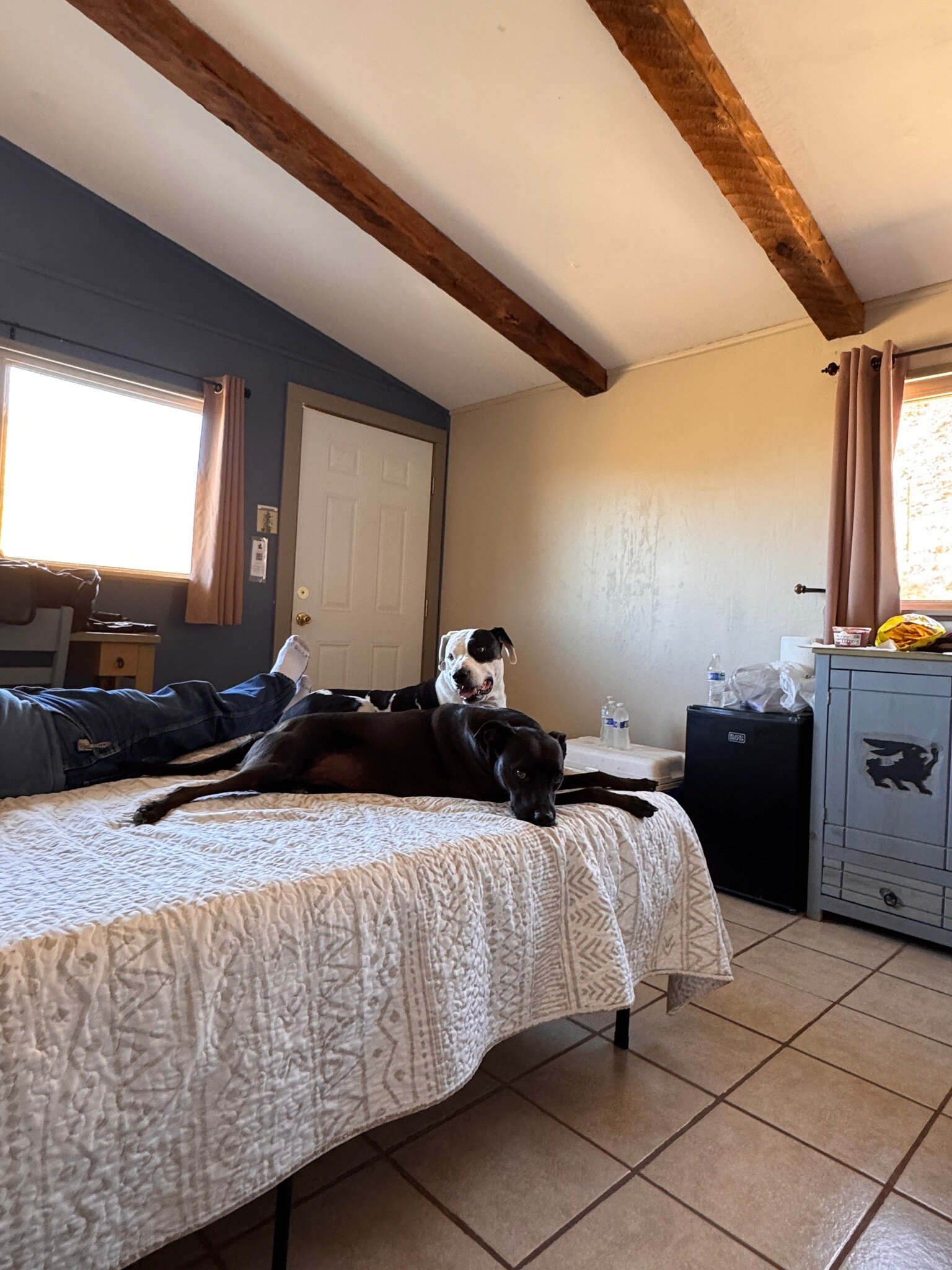 Terlingua Ranch Lodge-官方