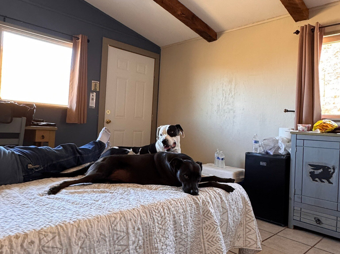 Terlingua Ranch Lodge主图