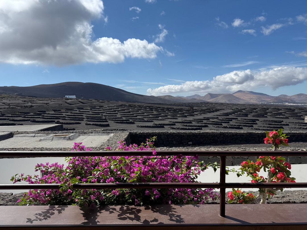 Wine Tours Lanzarote-卡门港必去景点