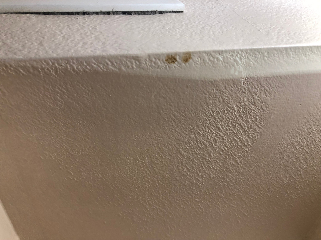 Holiday Inn Express & Suites Kingman by IHG主图