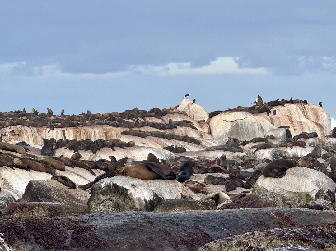 Drumbeat Charters-木湾必去景点