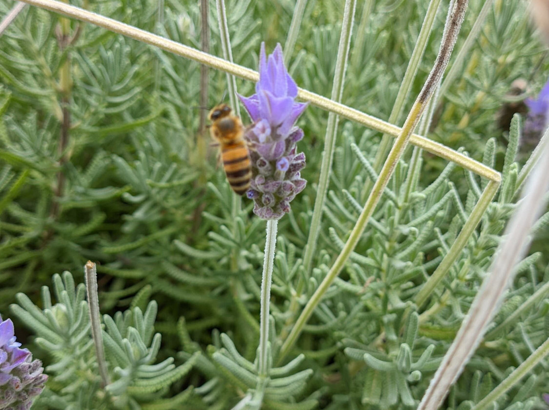 Pousada Chateau Colinas主图