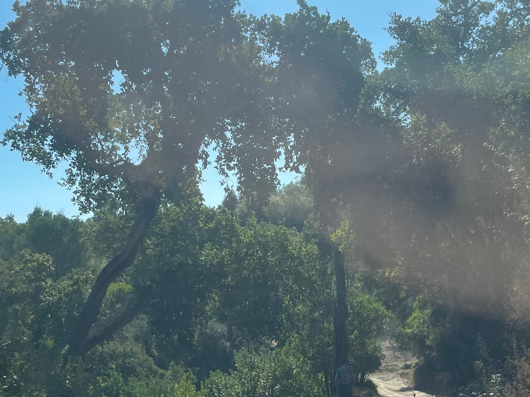 Dream Overland-Guarda必去景点