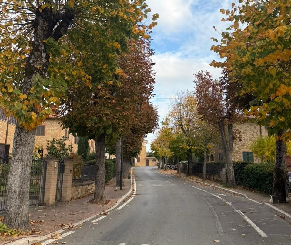 Agriturismo Sole主图