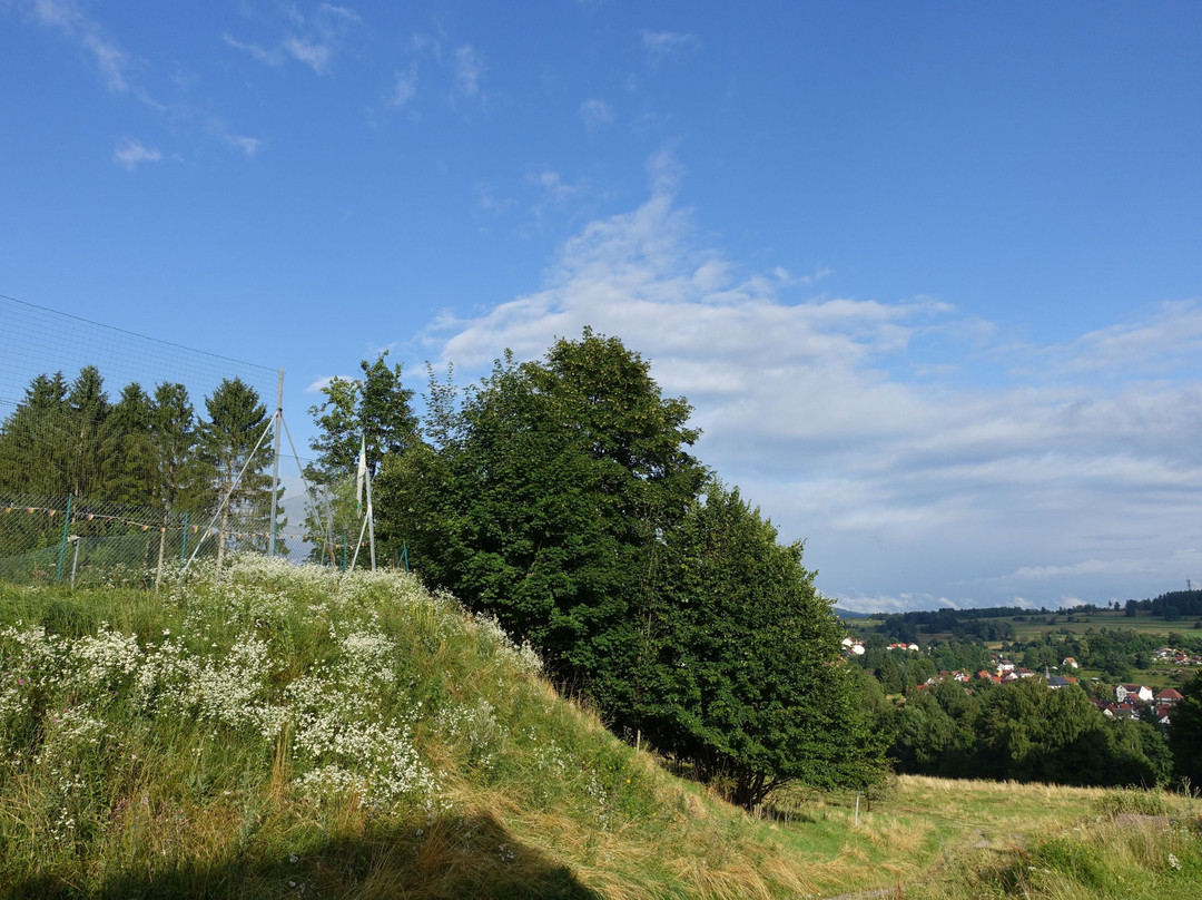 Bergbaude Albrechts主图