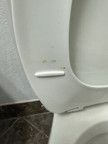 摩根顿贝斯特韦斯特SureStay酒店主图