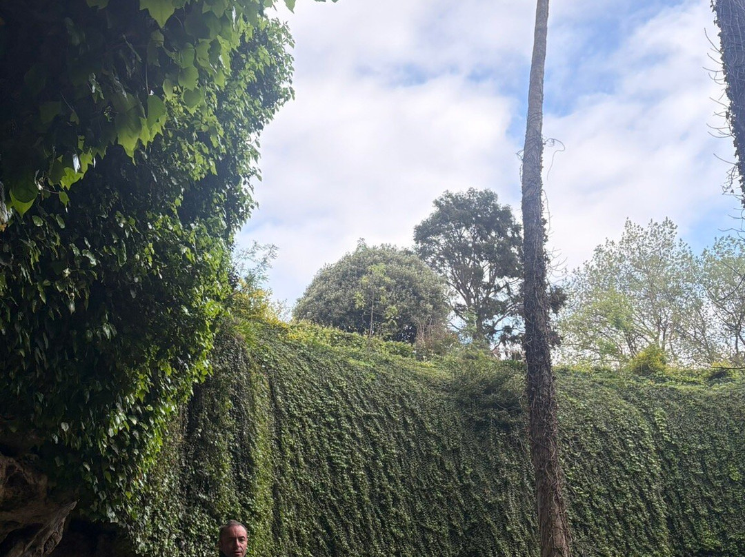 洞穴花园-芒特甘比尔必去景点