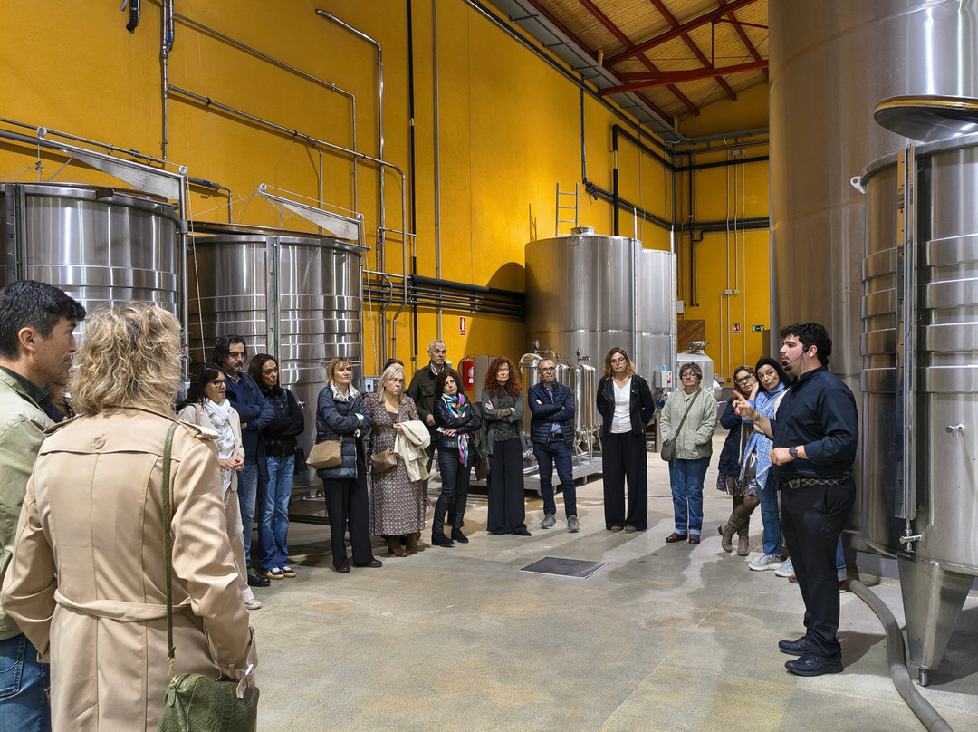 Bodega Tierra De Cubas-Carinena必去景点