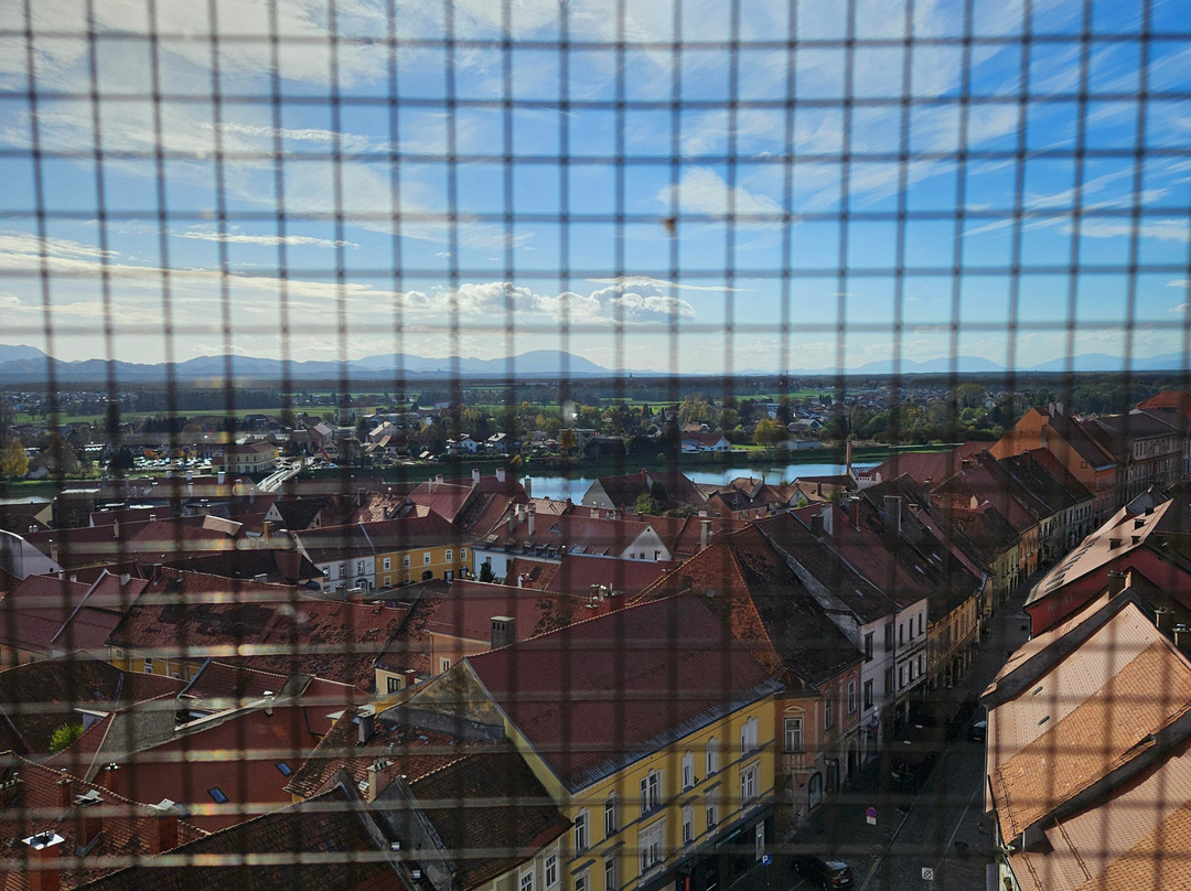 Ptuj City Tower-普图伊必去景点