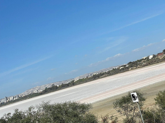 Love Buses Larnaca-拉纳加必去景点