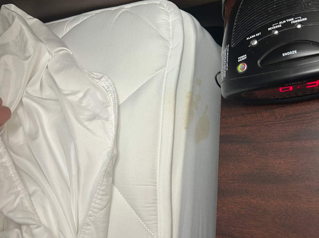 Best Western Plus Dockside Waterfront Inn主图