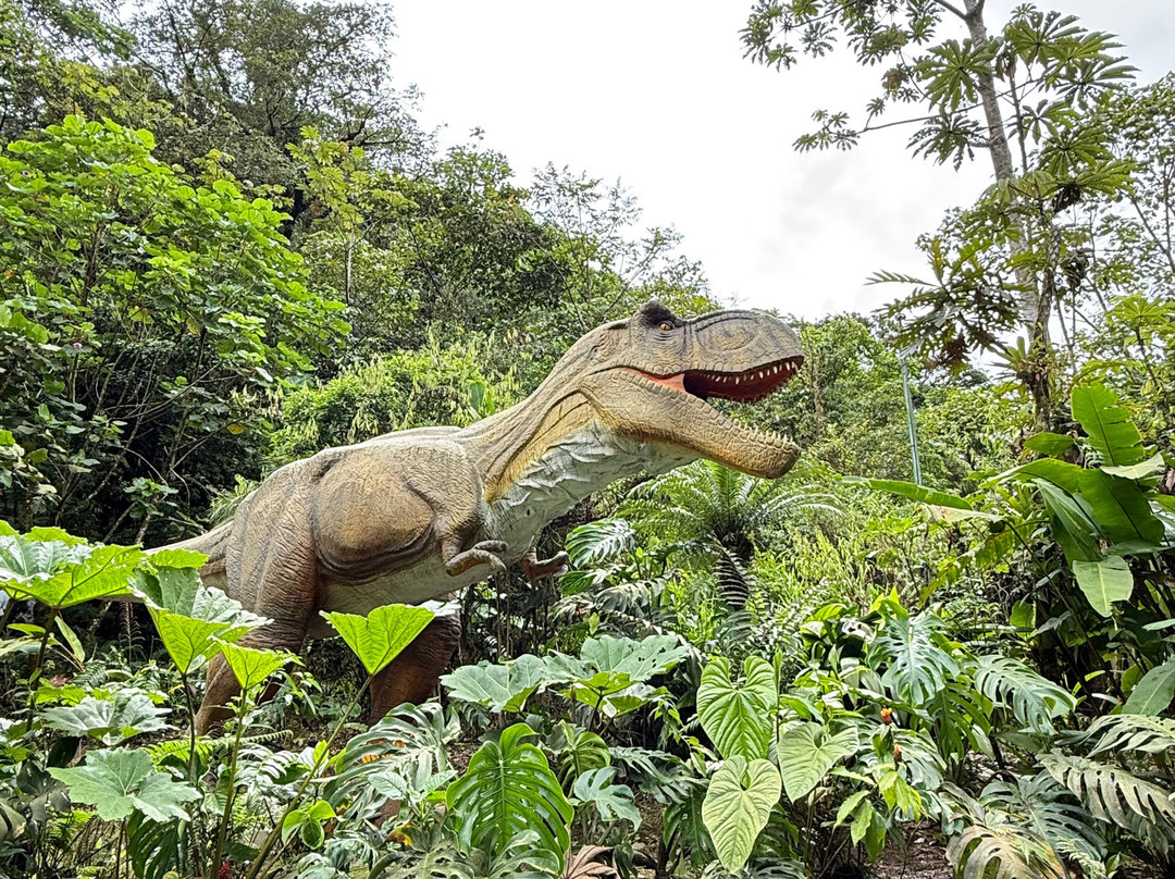Catarata Río Agrio-Bajos del Toro必去景点