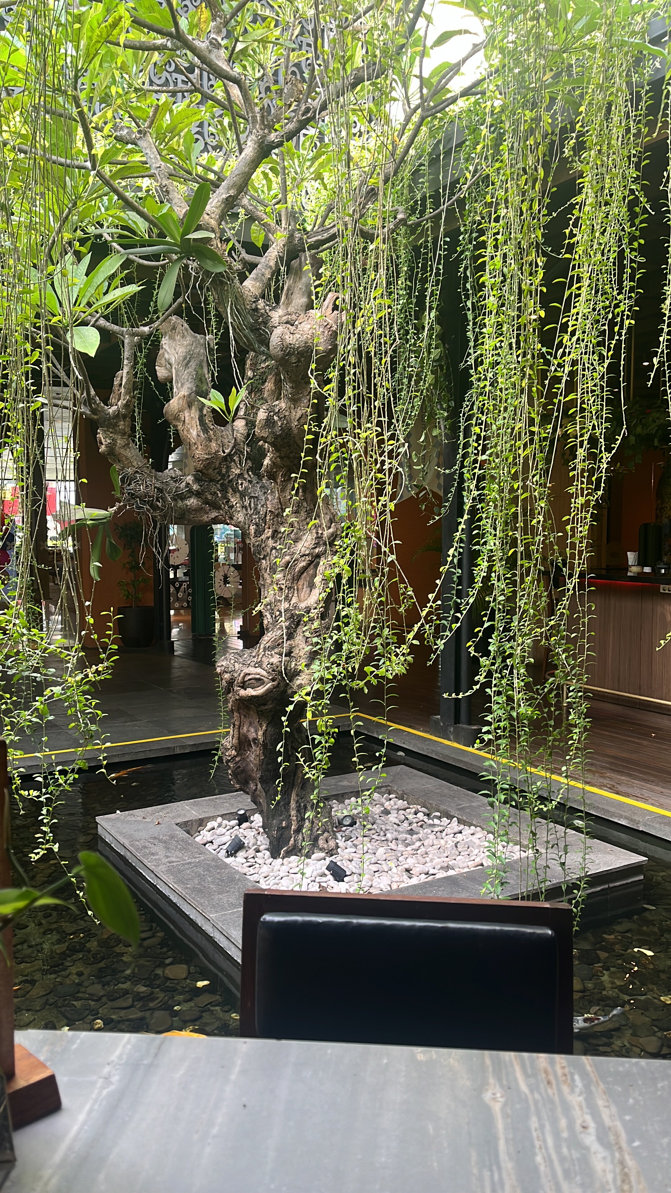 Artotel Suites Bianti Yogyakarta-官方