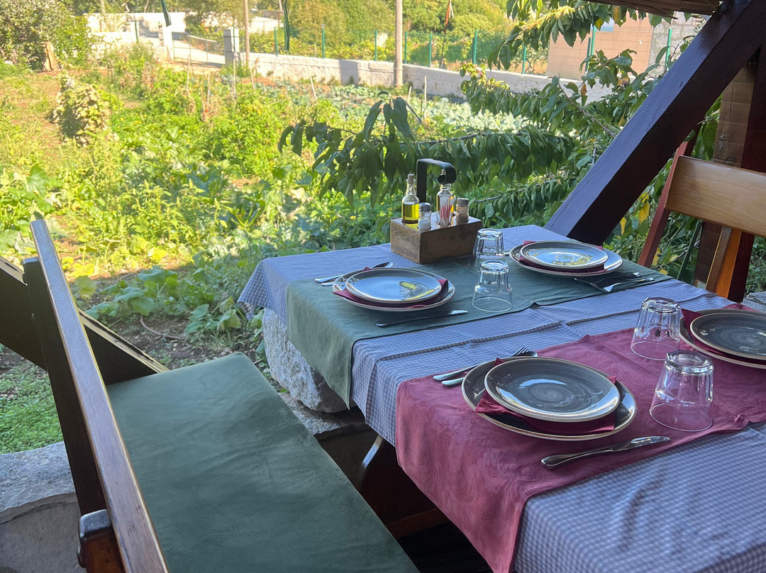 TrulyCroatia Tours-扎达尔必去景点