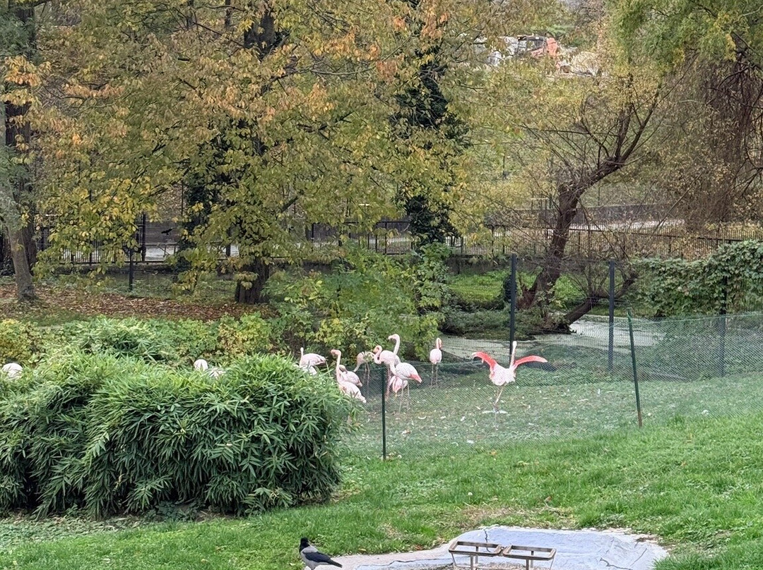 ZOO Bratislava-布拉迪斯拉发必去景点