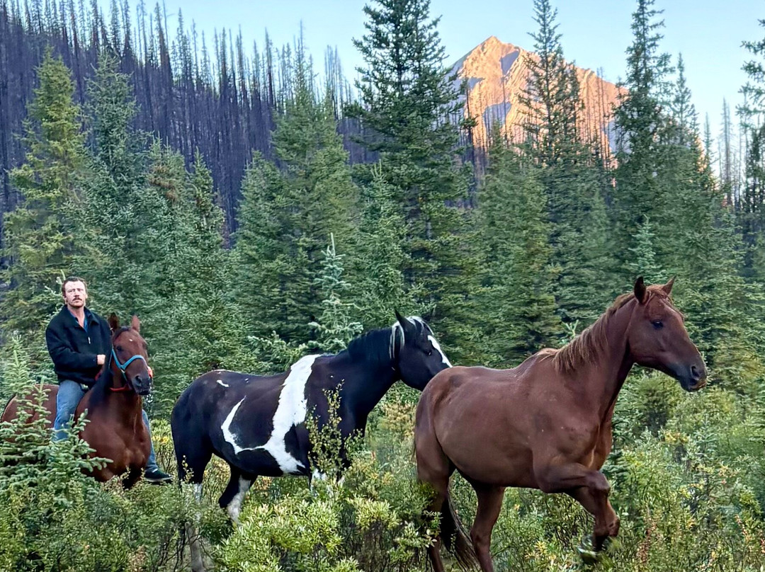 McKenzie Trails West-Nordegg必去景点