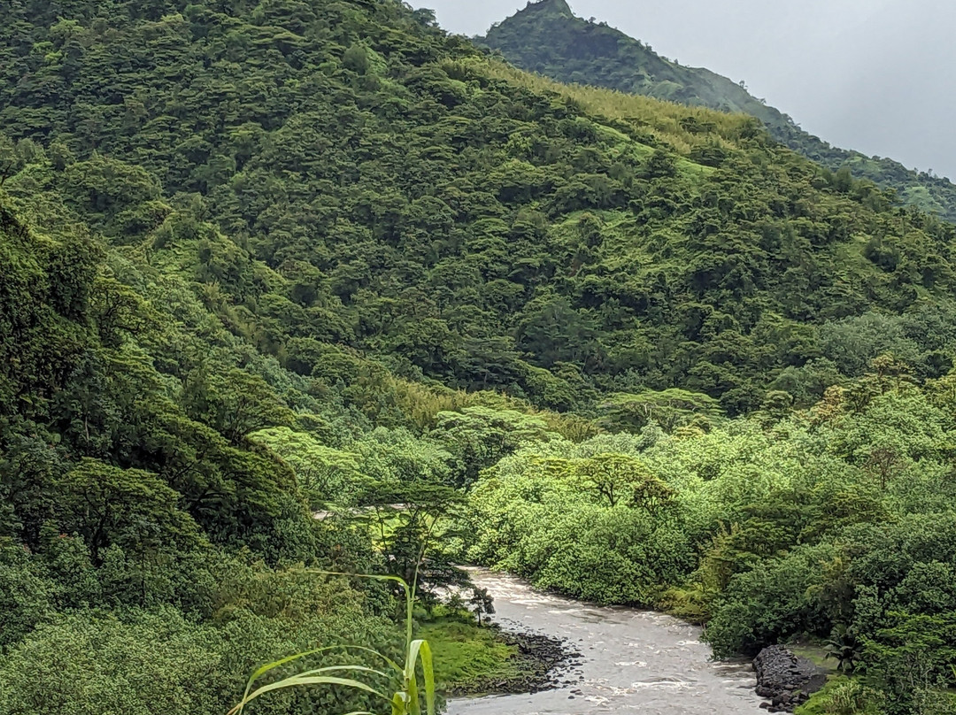 Vallée de la Papenoo-大溪地必去景点