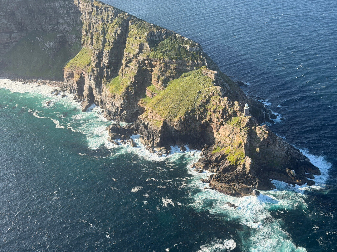 Rhino Africa Safaris-开普敦中心区必去景点