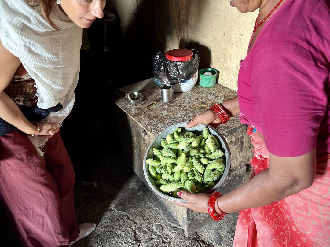 Rishikesh Day Tour-里希克虚必去景点