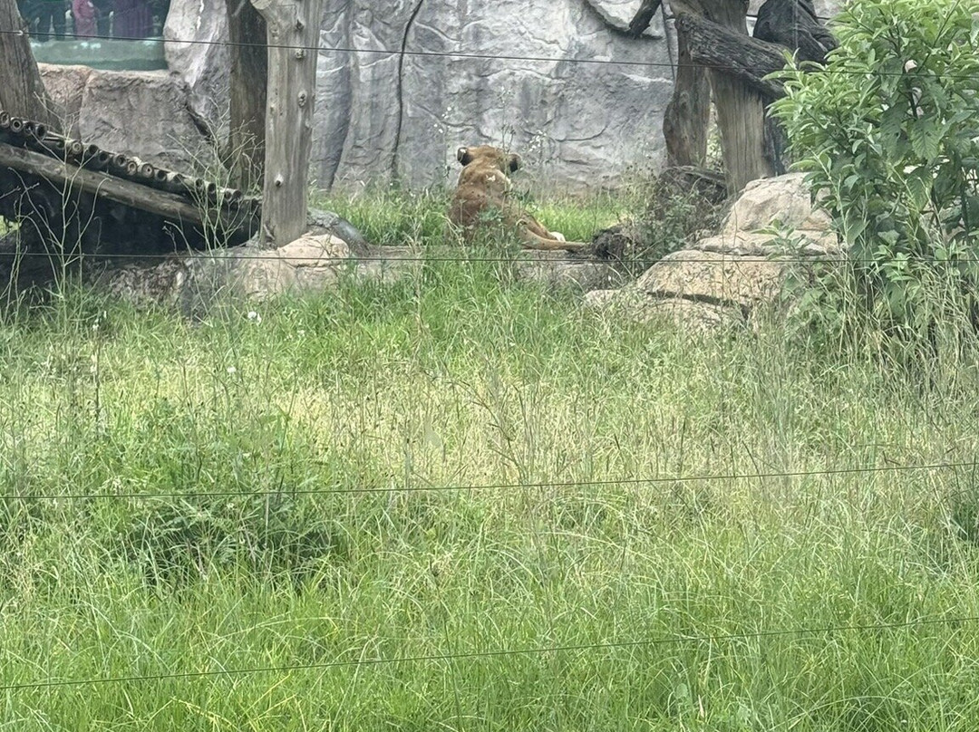 Unity Park-亚的斯亚贝巴必去景点