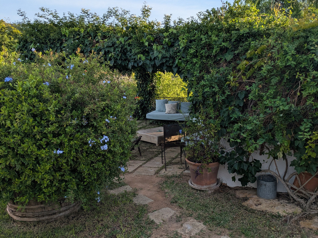 Can Quince Balafia Ibiza Hotel主图