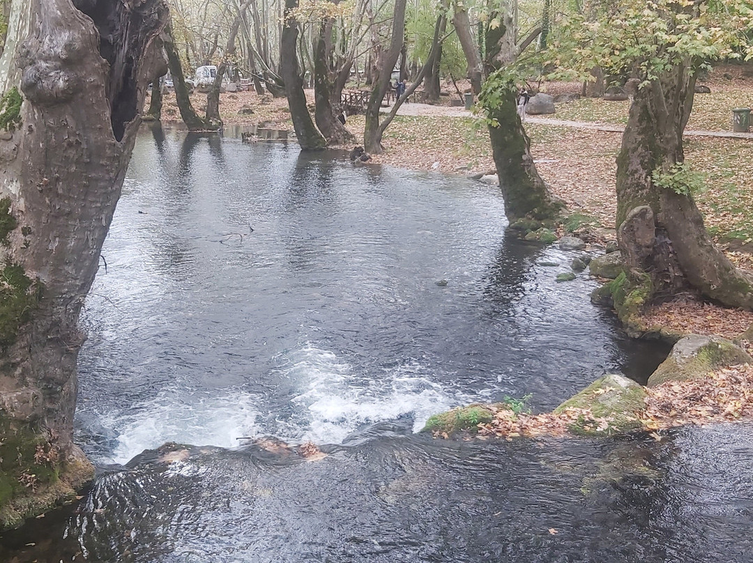 Agios Nikolaos Park-Naousa必去景点